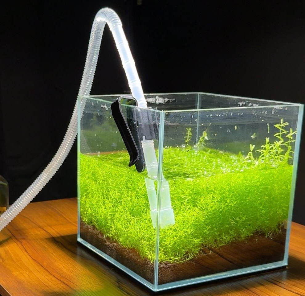 Siphon intake clipped inside a carpeted nano cube, the clear hose arching over the rim